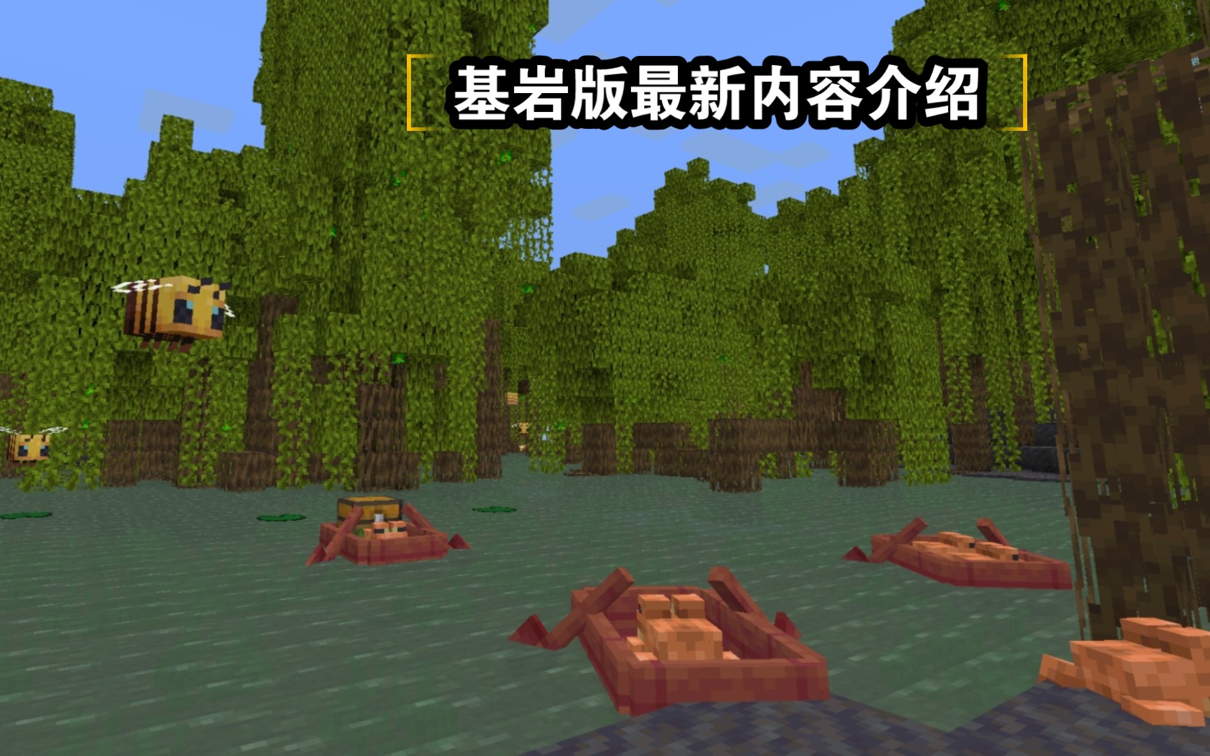 【MC1.19】红树林沼泽群系更新!基岩版更新内容介绍!哔哩哔哩bilibili