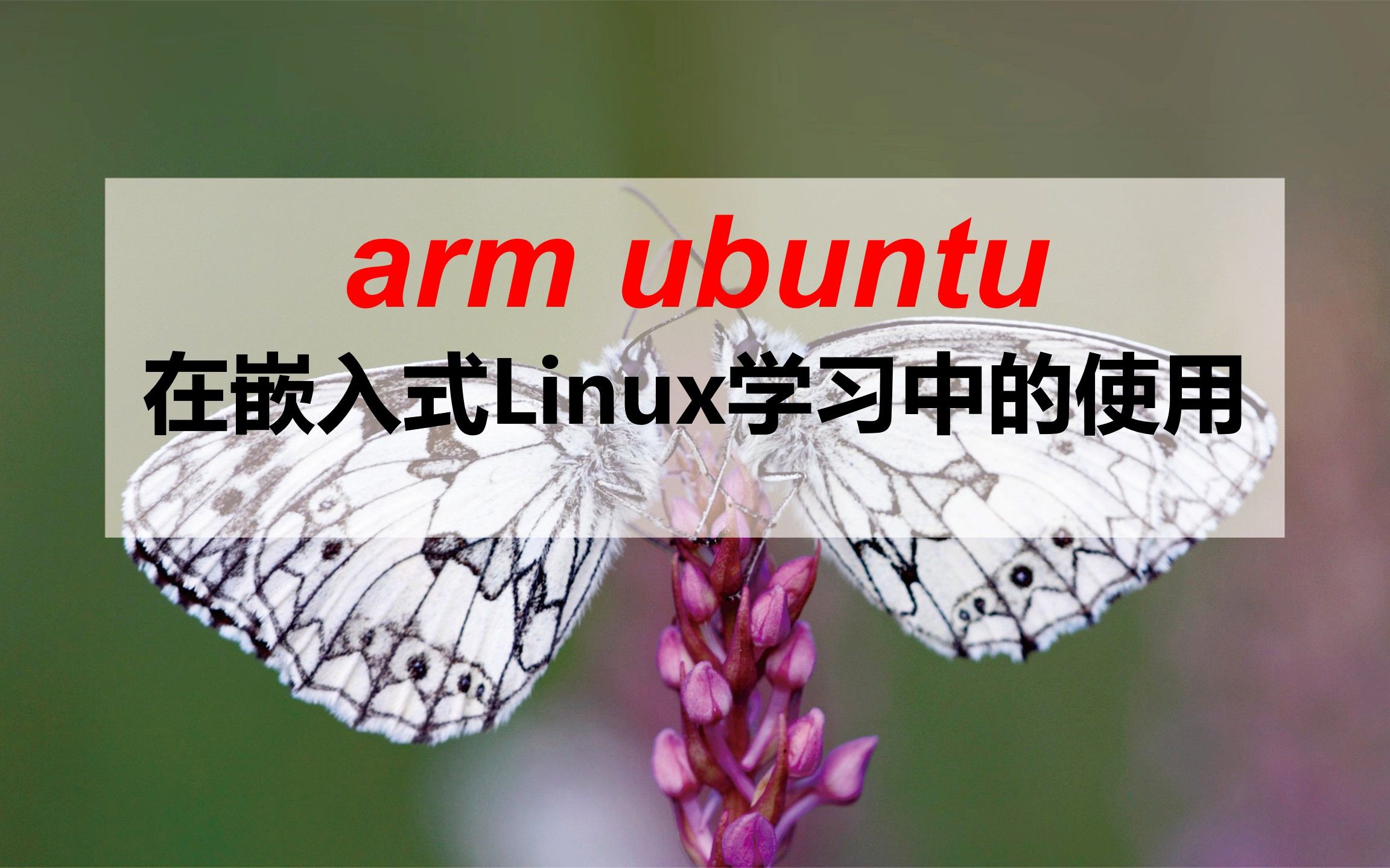 [图]使用arm版ubuntu系统学习嵌入式linux