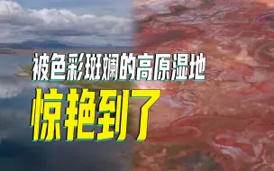 Скачать видео: 被色彩斑斓的高原湿地惊艳到了