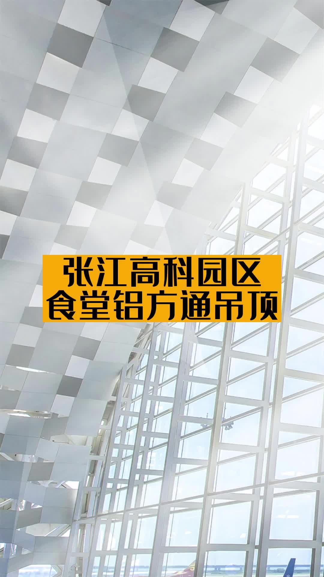 上海专业轻钢龙骨吊顶施工队,展示食堂铝方通吊顶效果;可分包施工各类吊顶,包括铝方通吊顶、石膏板吊顶哔哩哔哩bilibili