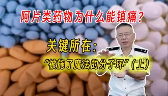 Video herunterladen: 阿片类药物为何能镇痛、会成瘾？被称为“被施了魔咒的分子环”是什么？（上）