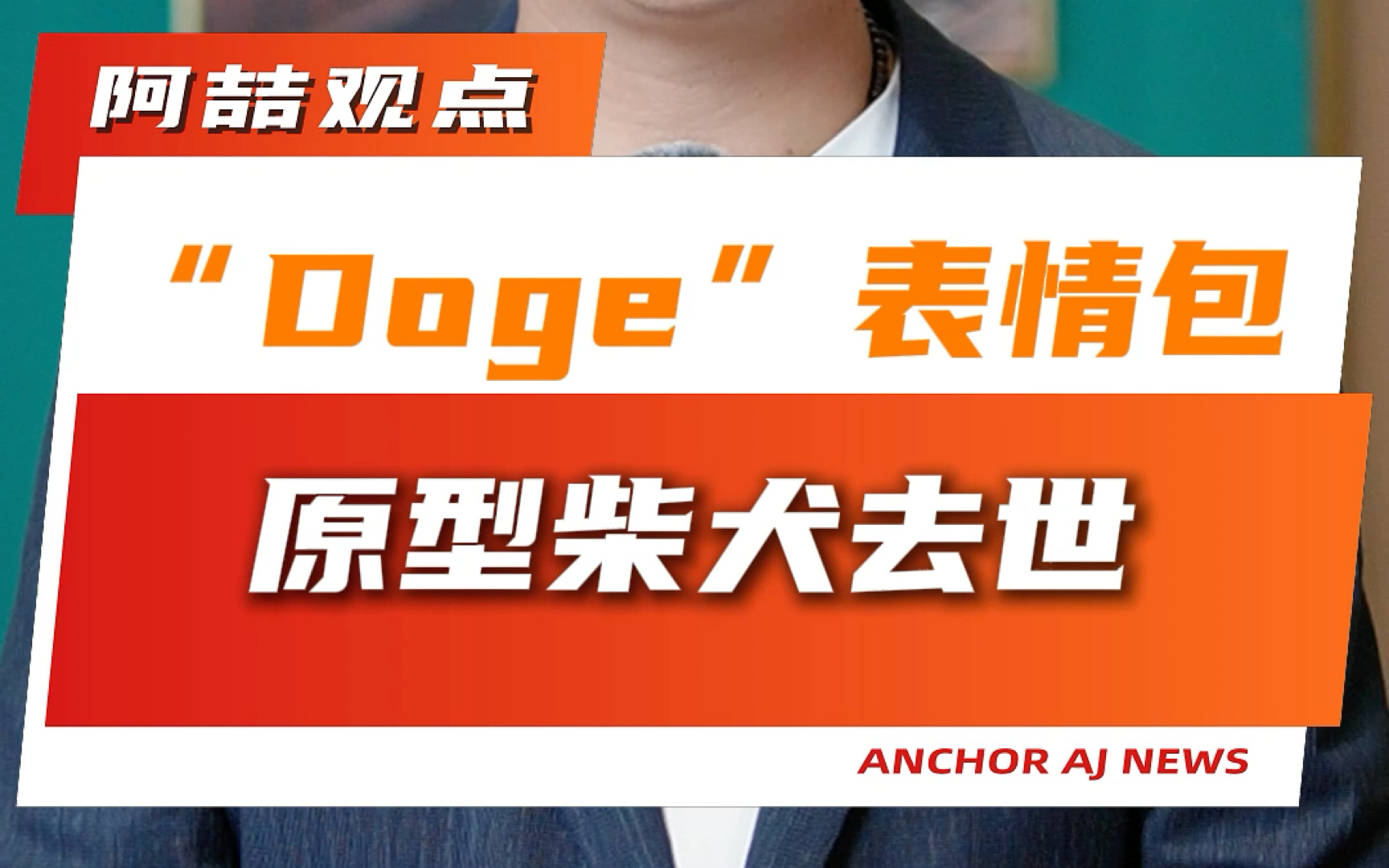 “Doge”表情包原型柴犬去世哔哩哔哩bilibili