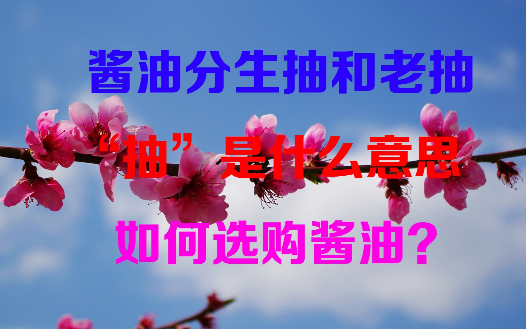 酱油分生抽和老抽,“抽”是什么意思?如何选购酱油?哔哩哔哩bilibili