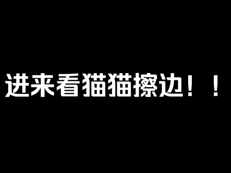 【beyound日常整活】猫猫擦边!!赞过一千,我去自己夹这个伴奏!顺便带上oc一起擦边(哔哩哔哩bilibili