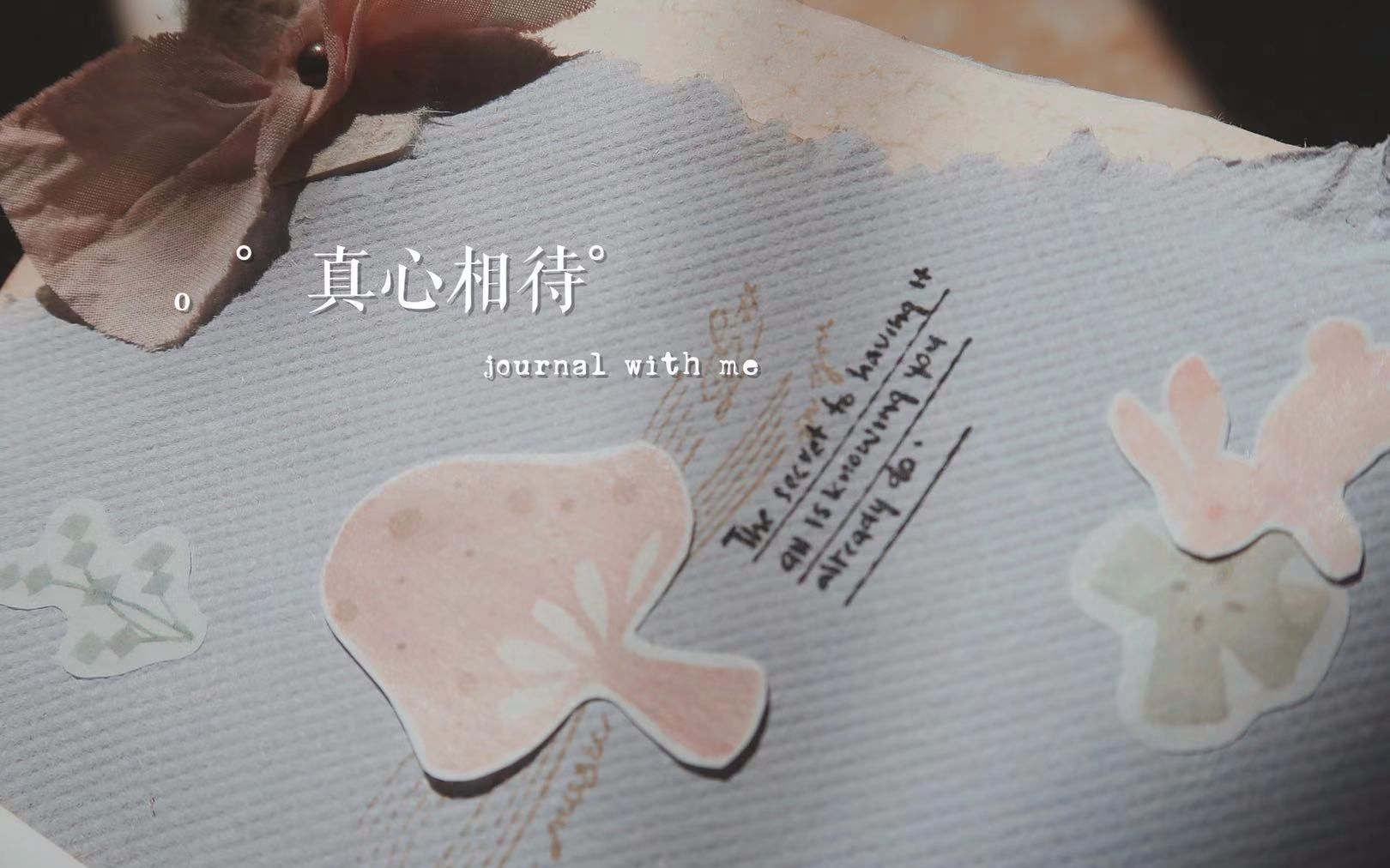 sakuramatata67. 手帐拼贴丨真心相待