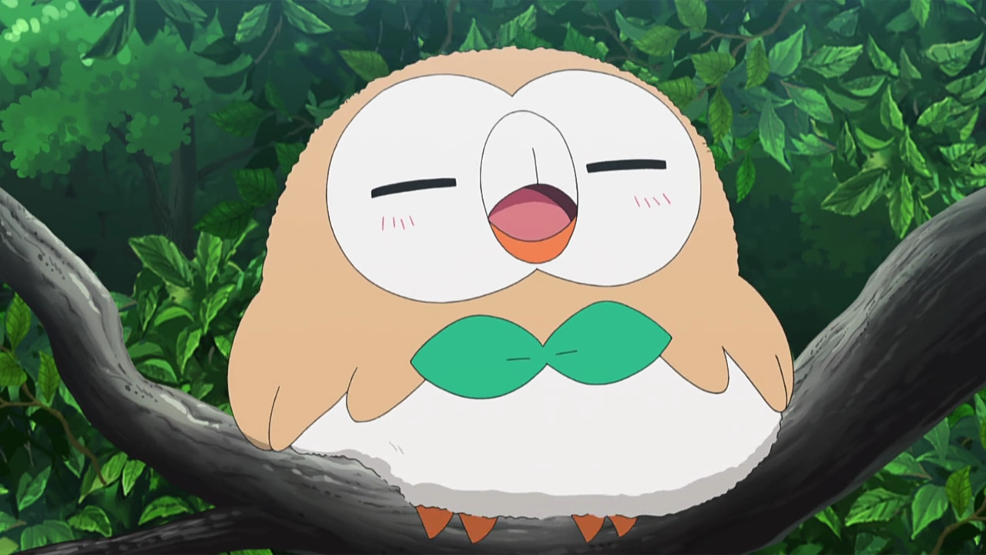 【天琴】豹纹守宫的打包