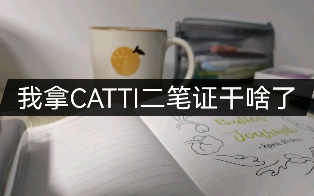 考到CATTI二笔对我有什么用哔哩哔哩bilibili