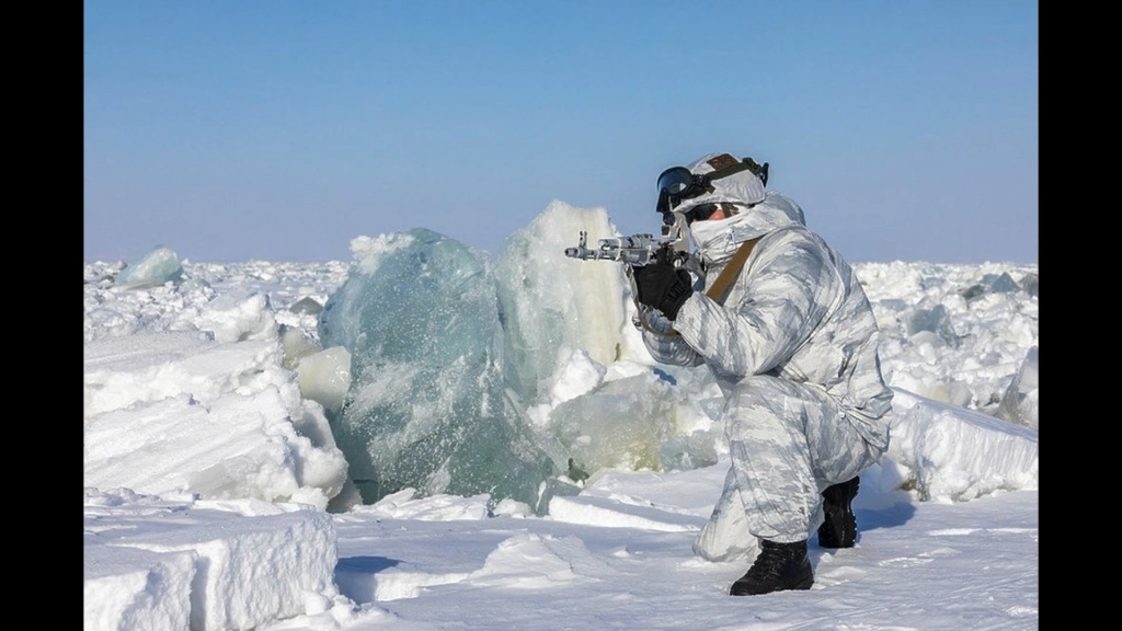 北极熊特种部队图片