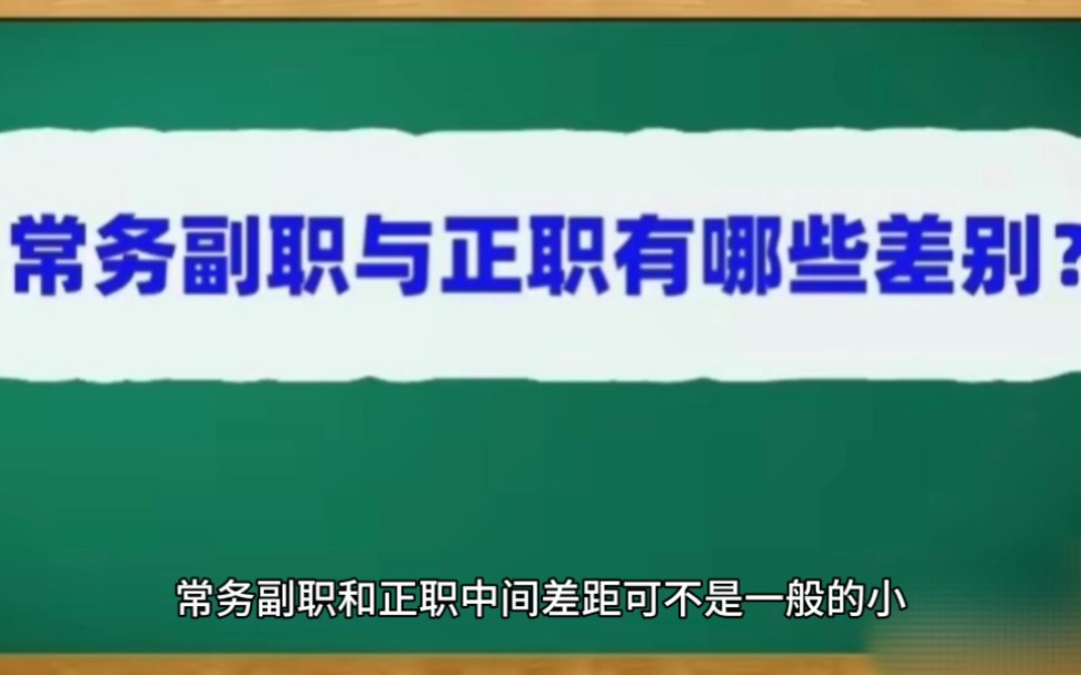 常务副职和正职有哪些差别?哔哩哔哩bilibili