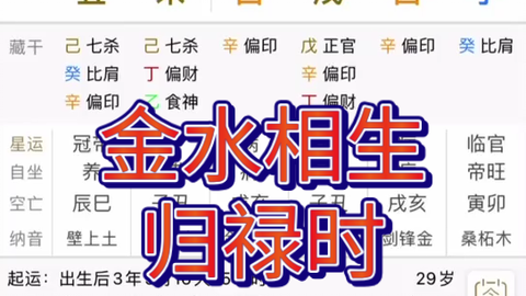 搜索 哔哩哔哩 つロ干杯 Bilibili