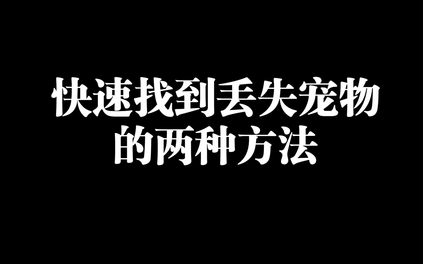 玄学小知识快速找到丢失宠物的办法哔哩哔哩bilibili