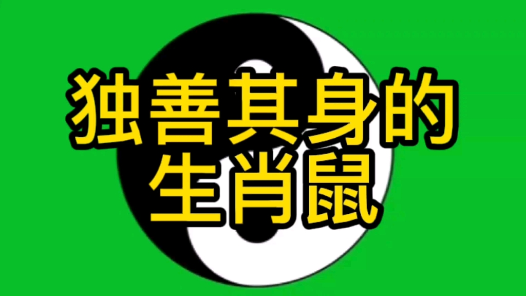独善其身的生肖鼠