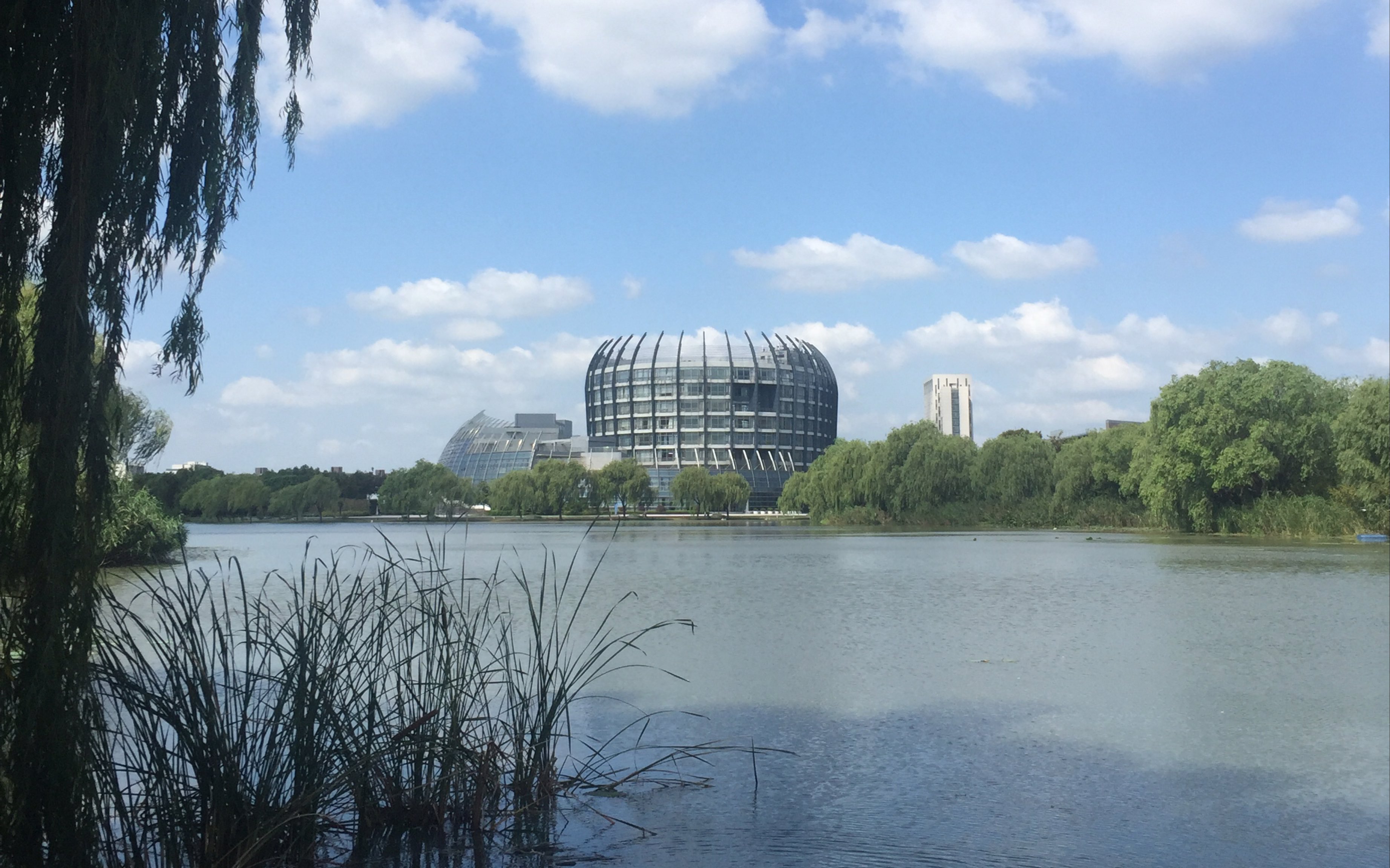 【东华大学】翻译硕士考研经验分享(1)择校之为什么选择东华大学_哔哩