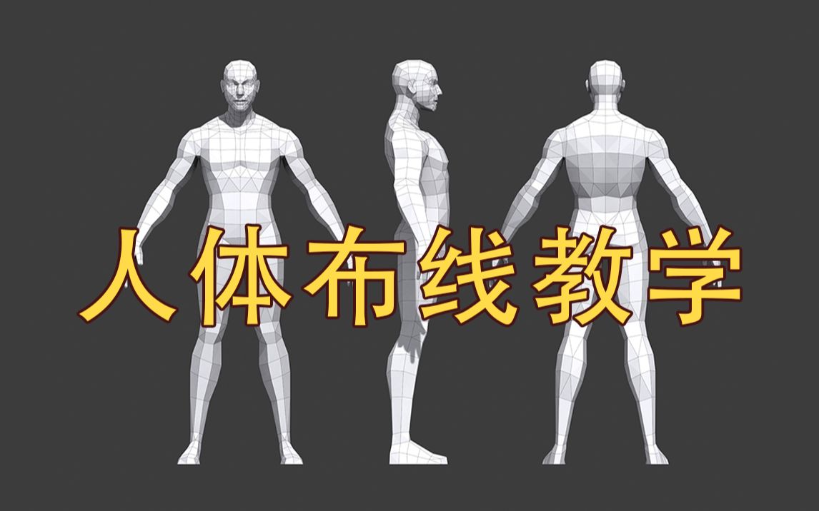 3dmax人體佈線講解,3dmax零基礎人物建模教程