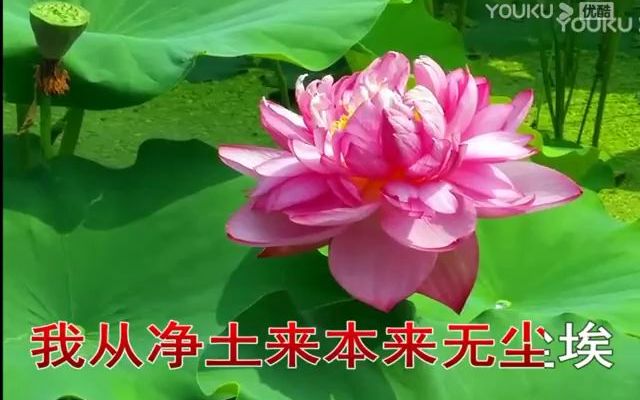 [图]佛教音乐歌曲 (119)