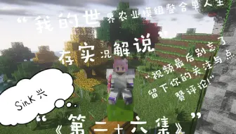 欢迎各位大佬来到sink兴的 Minecraft我的世界 农业模组整合单人生存实况解说 第二十八集 哔哩哔哩 Bilibili