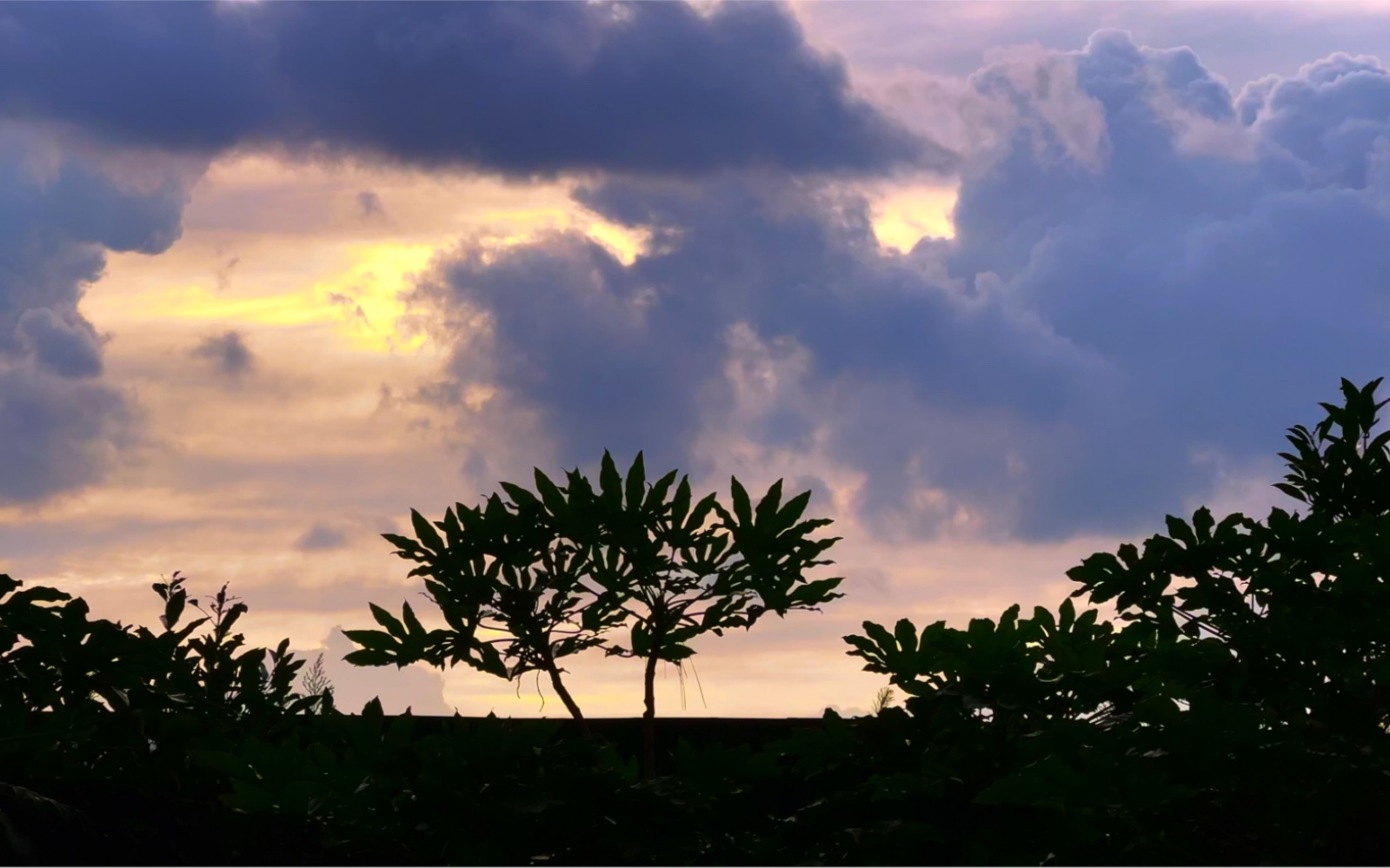 坐看风云.iphone12promax拍摄,imovie后期