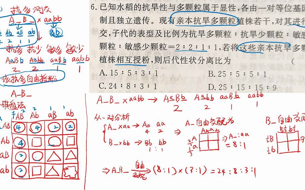 [图]遗传经典难题讲解2--繁琐难题用配子棋盘法和分支乘法的各自应用