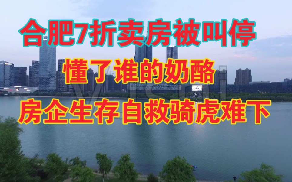 合肥7折卖房被叫停,动了谁的奶酪,房企生存自救骑虎难下.哔哩哔哩bilibili