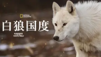 国家地理频道 雪狼王国全3集1080p英语英字kingdom Of The White Wolf 哔哩哔哩 Bilibili