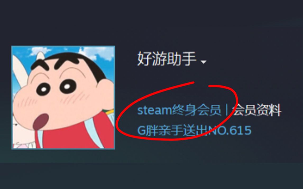 [图]正版steam也有会员了！你确定不是管家？