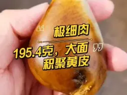 Скачать видео: 极细肉，195.4克，大面积聚黄皮的黄白玩籽！