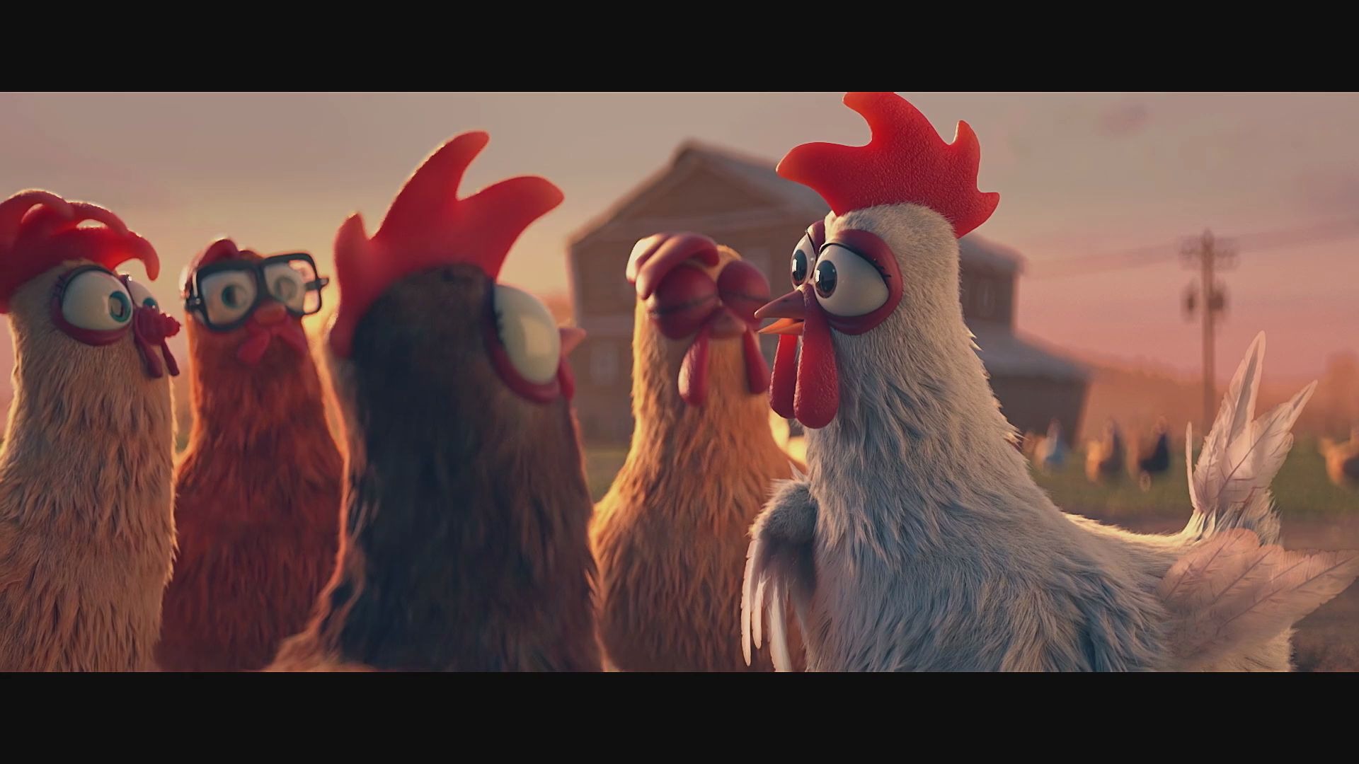 poulehouse solidarity hens