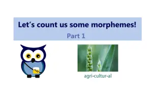 Download Video: 【语言学】 数数词素（一）| Let's count us some morphemes (Part 1)