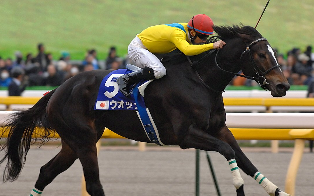 29 日本杯 (gi) 【伏特加】_哔哩哔哩_bilibili