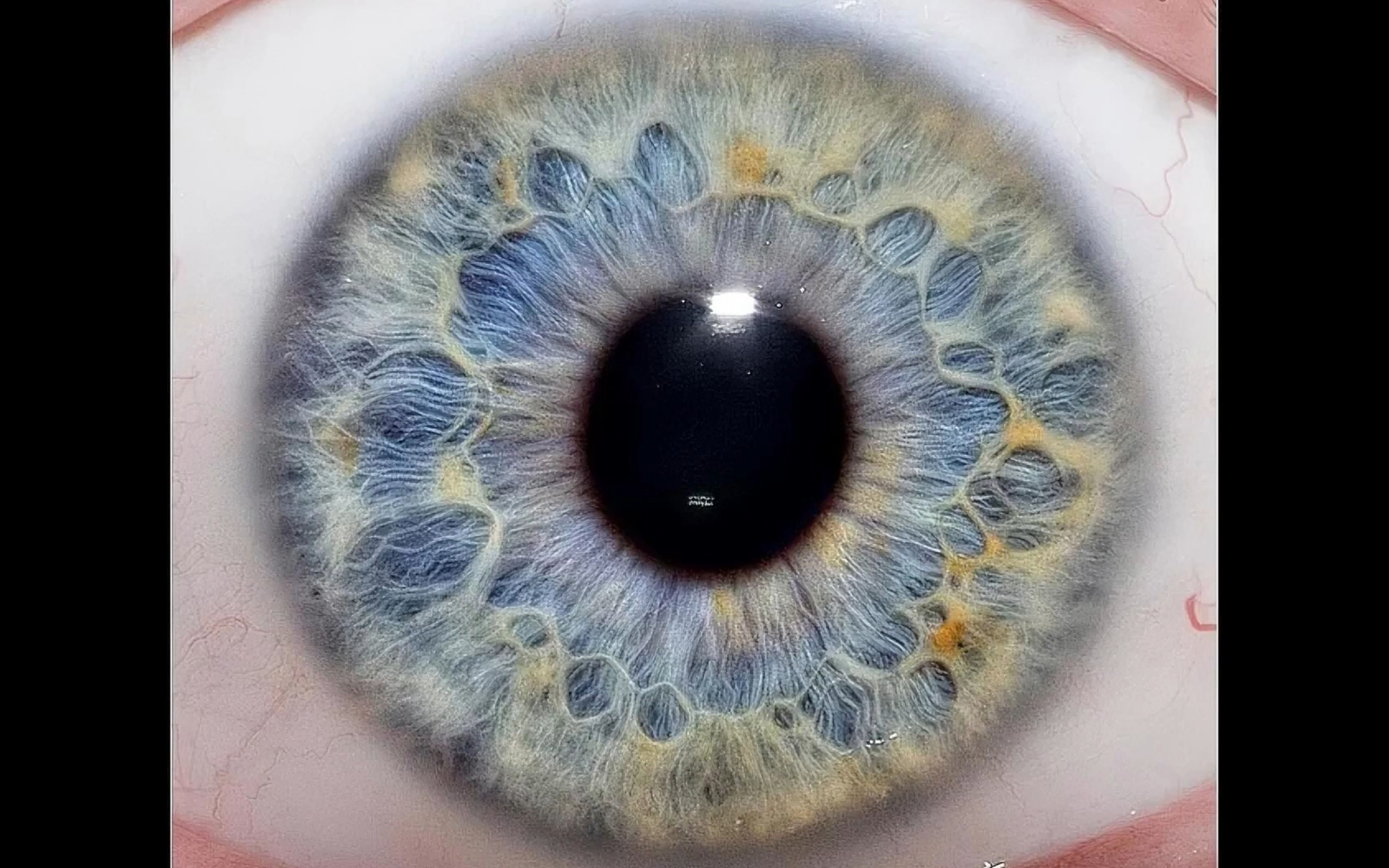 西女虹膜微距特写1