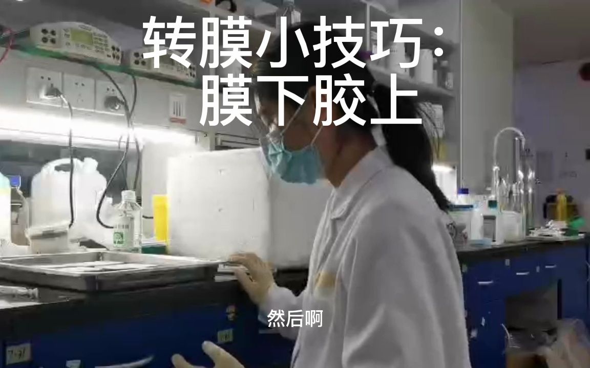 实验操作喂饭教学—Western Blot小技巧转膜切膜金属浴(我走过的弯路大家别走,祝大家实验顺利)哔哩哔哩bilibili