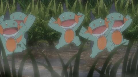 乐于助宝可梦的乐天河童和闪电鸟 哔哩哔哩