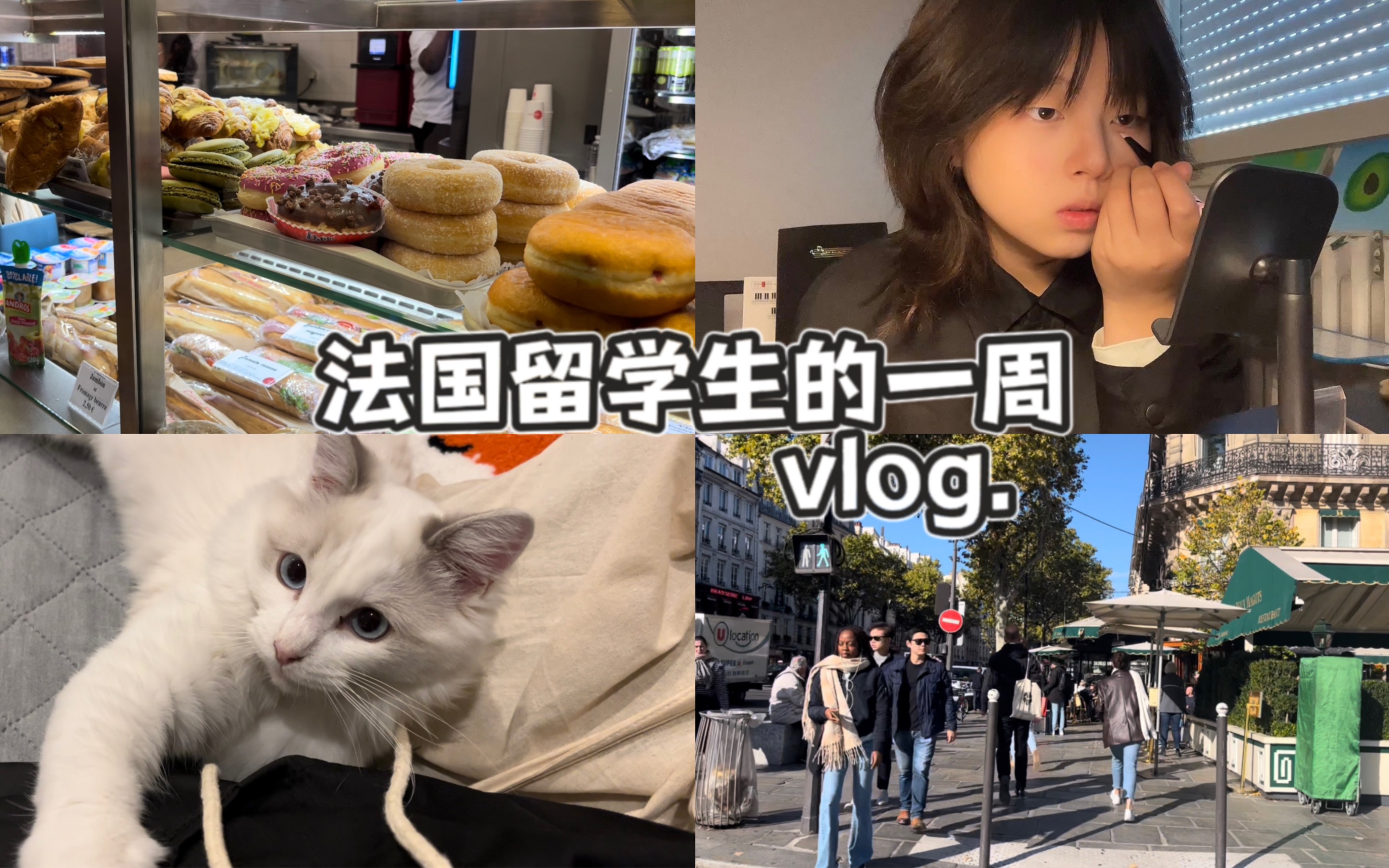 [图]巴黎留学生的一周｜跟我一起逛法超｜云吸猫【法国留学vlog】