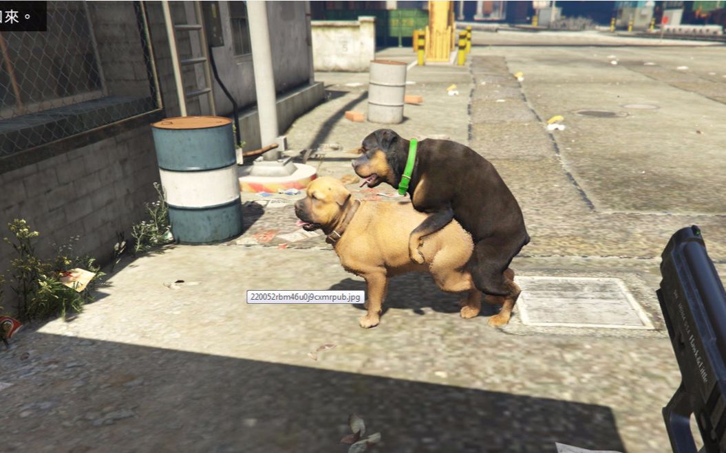 炮芯大怪《gta5》暴力向解说 第三期