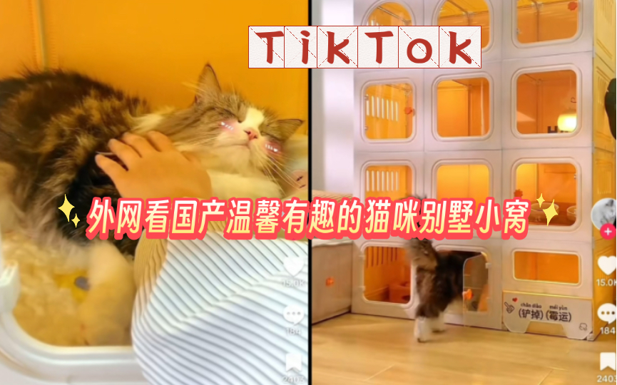 【TikTok】外网看国产温馨有趣的猫咪别墅小窝|海外国际版抖音外国网友评论热议哔哩哔哩bilibili