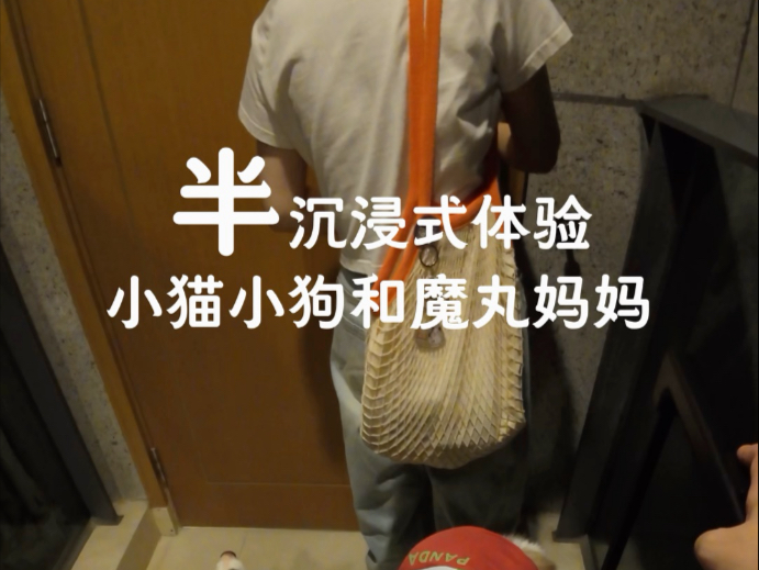 和小猫小狗团团圆圆