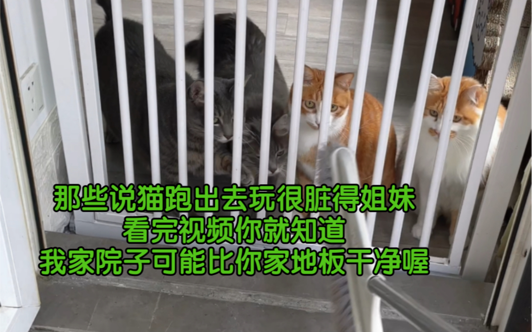 录了个放猫去院子玩之前的清扫视频.因为一个手在拍 所以干活没那么利索.哔哩哔哩bilibili