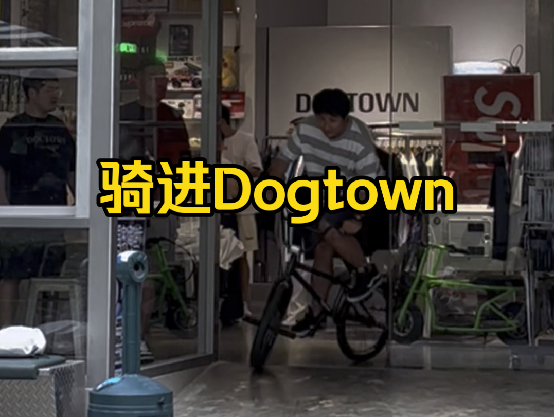 骑进Dogtown哔哩哔哩bilibili