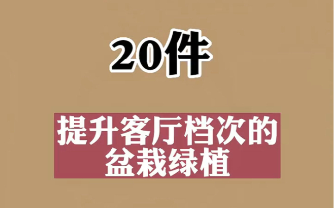 20件客厅盆栽绿植,花卉盆栽推荐#花卉绿植盆栽哔哩哔哩bilibili