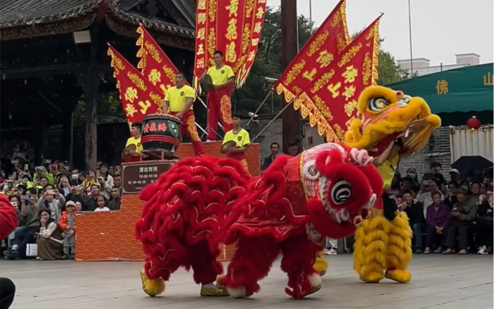 【佛山祖庙】来佛山看醒狮 摸到小狮子啦