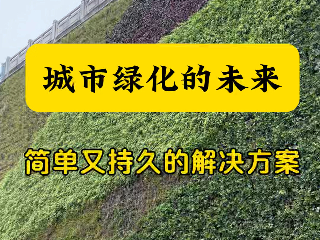 城市绿化的未来,可以采用这种简单又持久的解决方案,做植物墙便捷式#立体绿化 #园林景观 #绿化工程 #种植固化土 #市政工程哔哩哔哩bilibili