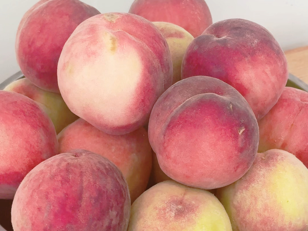 现摘新鲜水蜜桃脆甜桃子桃脆甜多汁