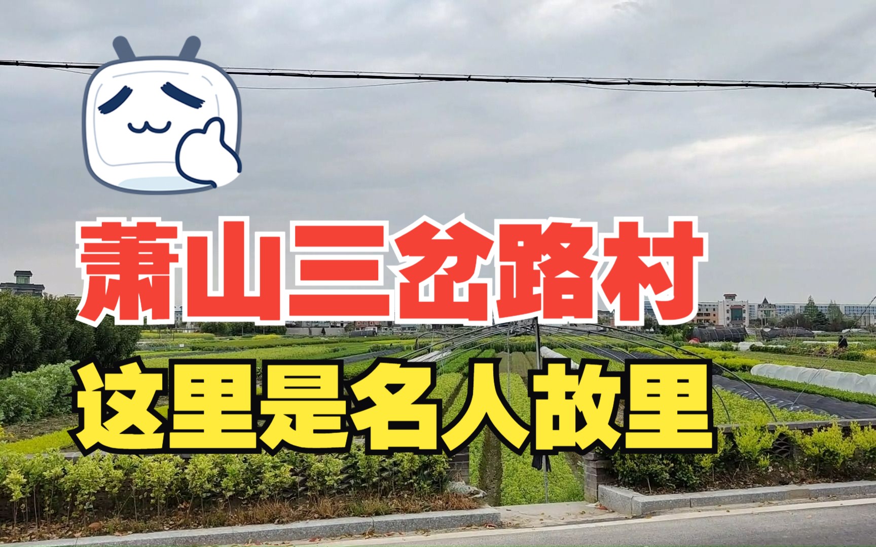 【拆迁前夕】杭州机场高铁开建,萧山三岔路村部分拆迁,这个村诞生了一