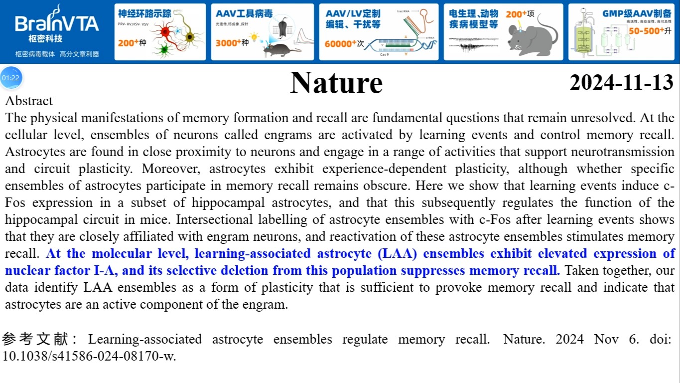 Nature—重磅突破!星形胶质细胞是”记忆印迹“形成的关键哔哩哔哩bilibili