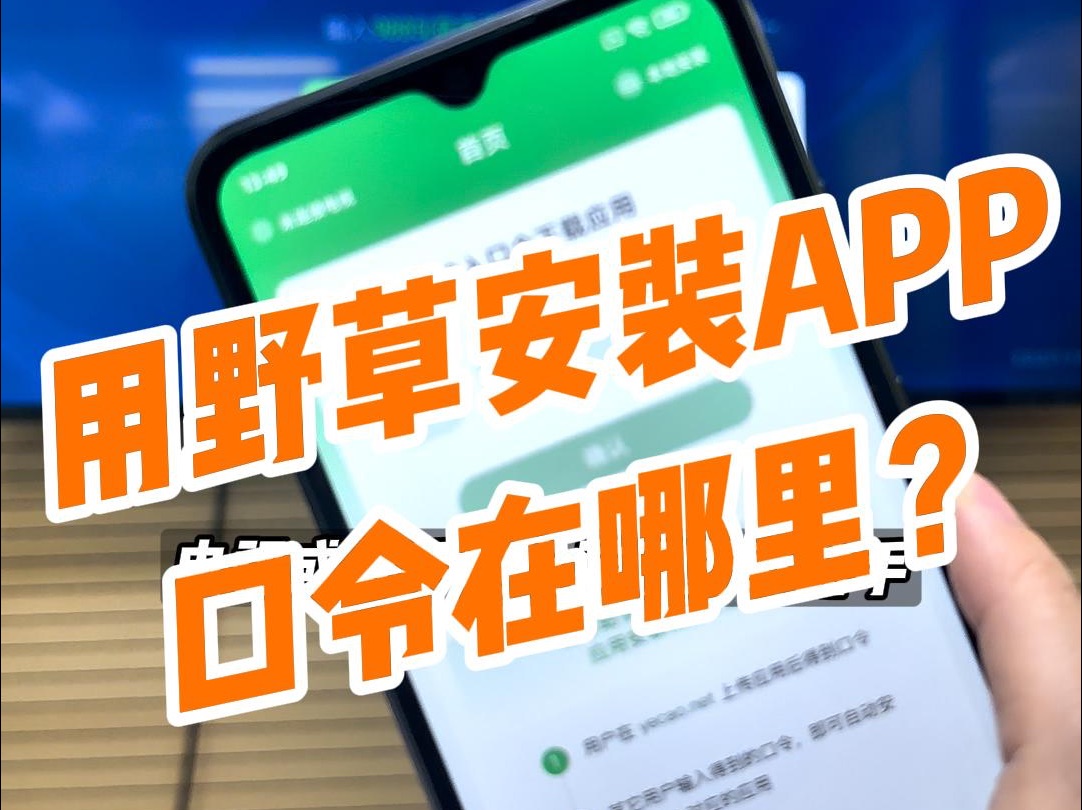 野草安装APP,口令哪里找?哔哩哔哩bilibili