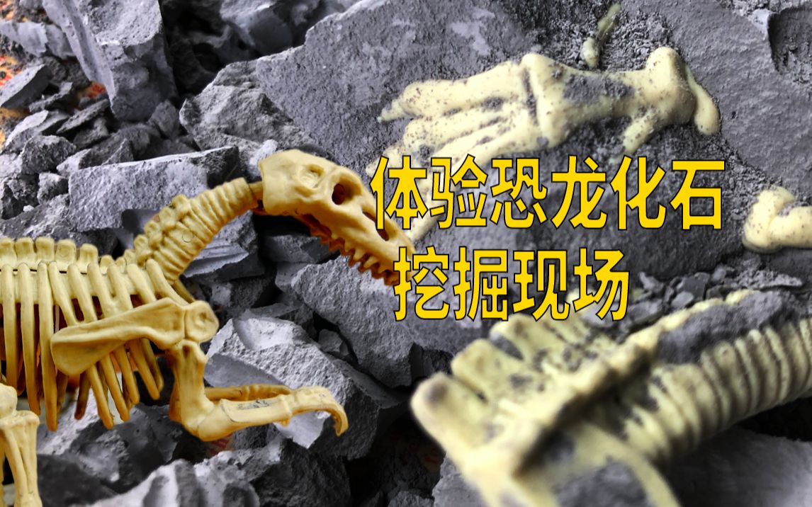 活动作品我去考古了体验恐龙化石挖掘现场
