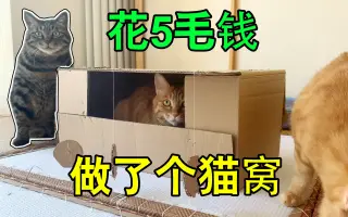 猫窝 搜索结果 哔哩哔哩 Bilibili