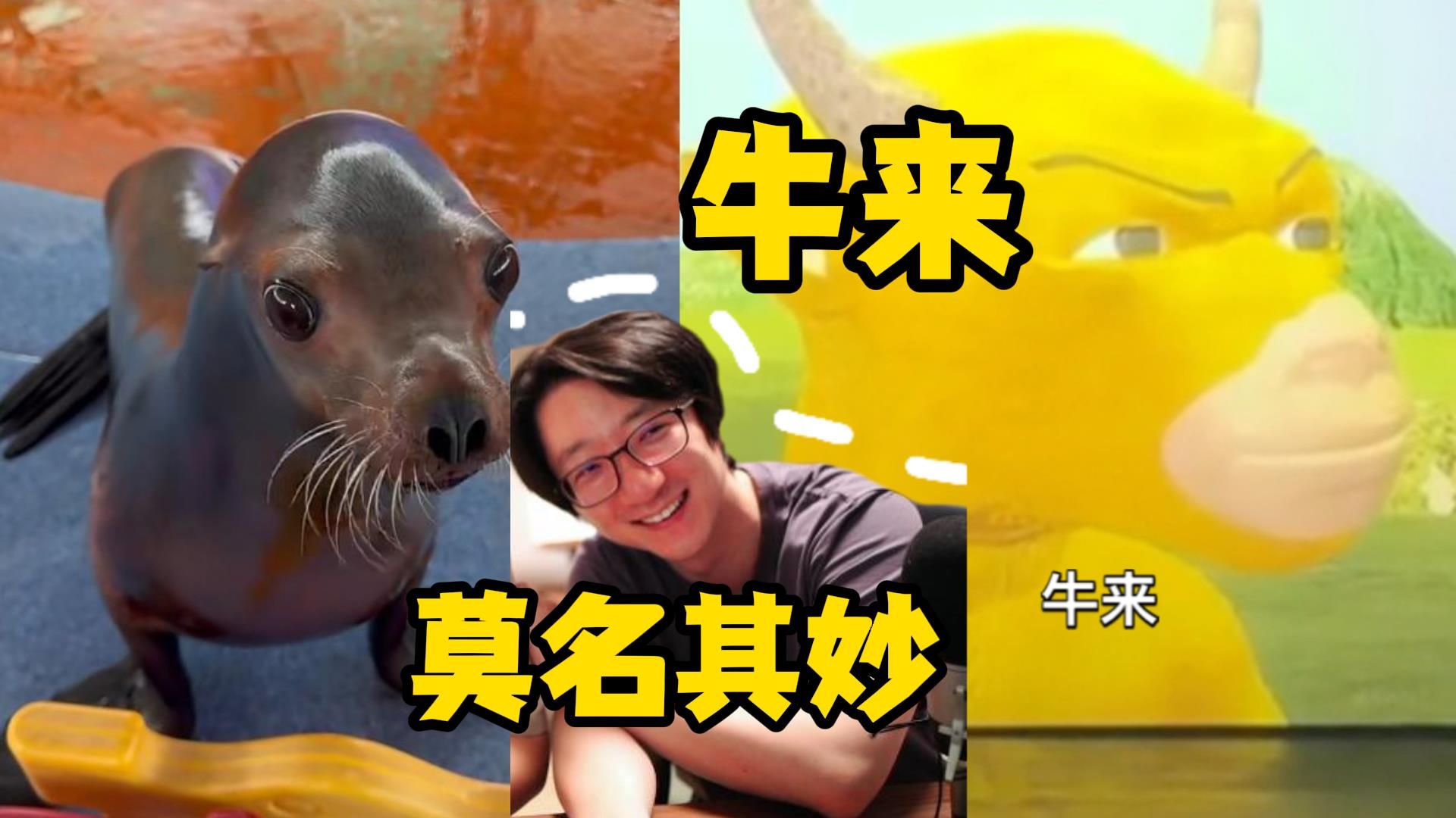 【泛式】啊牛来票房1,700万了？两公婆大半夜何故莫名奇妙发笑！“我们看梦限大说不定就看牛来一样啊”？？