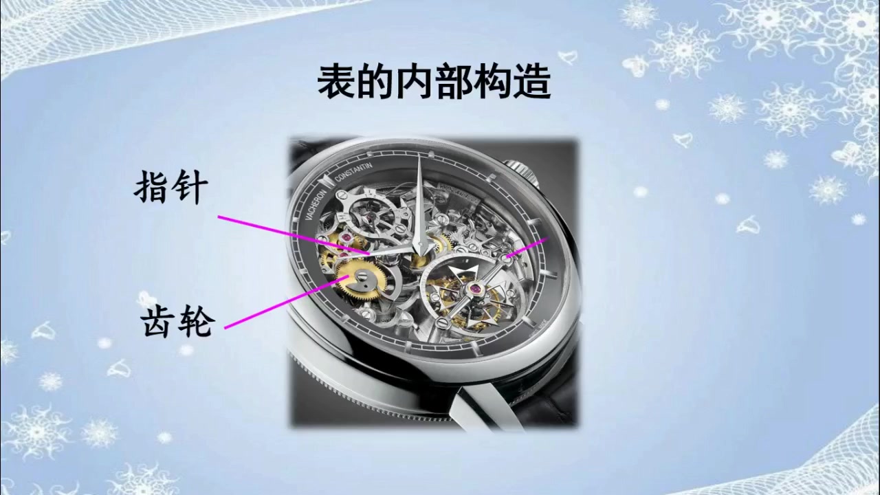 17第十周第五课时部编版六年级语文第五单元第五课《表里的生物》