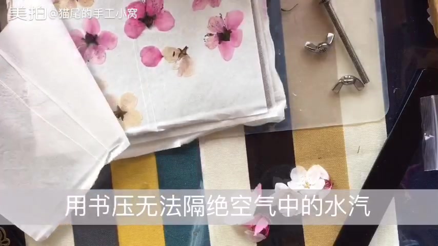 【猫尾手作】滴胶素材干花押花教程哔哩哔哩bilibili